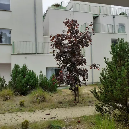 Zielone Patio *